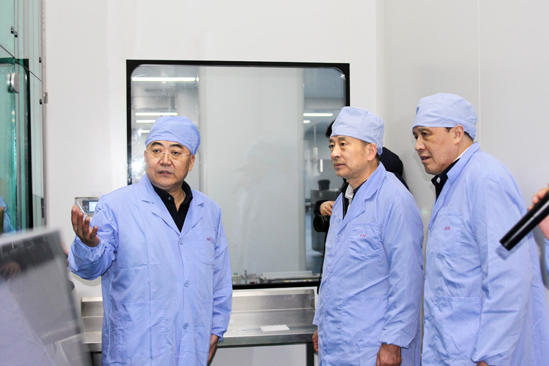 【江苏省人大常委会常务副主任、党组副书记樊金龙来吉贝尔药业调研】的配图